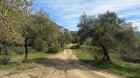 Photo 5 of Land for sale in Avenida de Los Callejones, Centro, Ubrique
