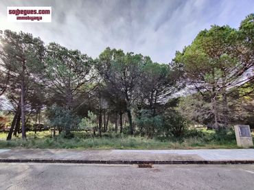 Terrenos y solares en venta en Gregal 32