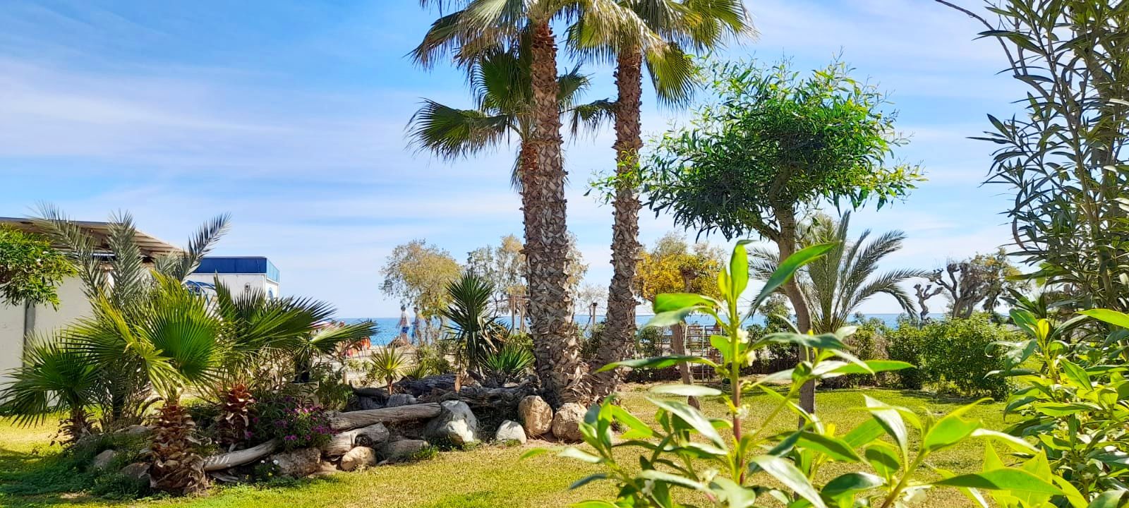Jardí de Pis en venda en Vera amb Terrassa, Moblat i Forn