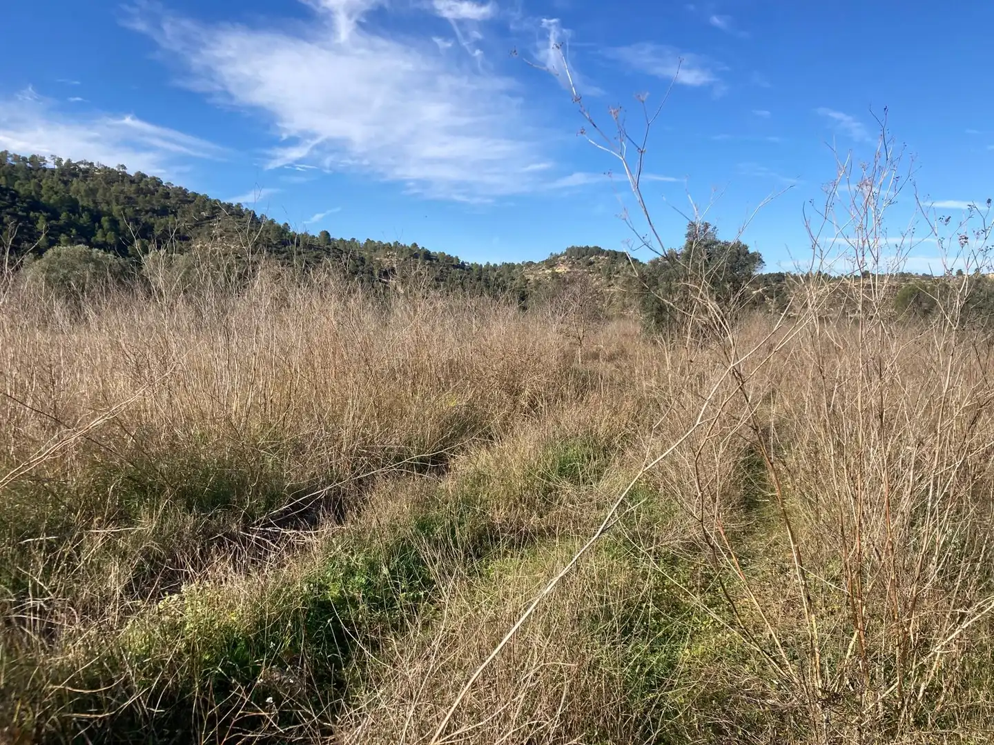 Terreno en venta en Caseres