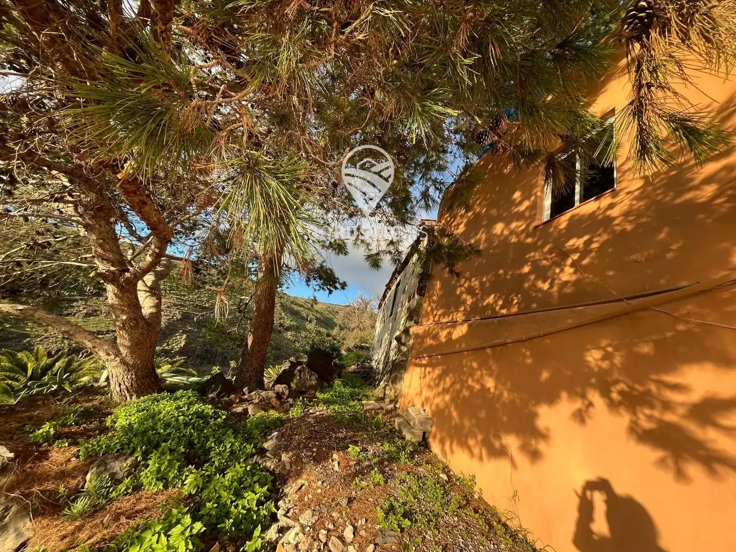 Vista exterior de Casa o chalet en venta en Vallehermoso
