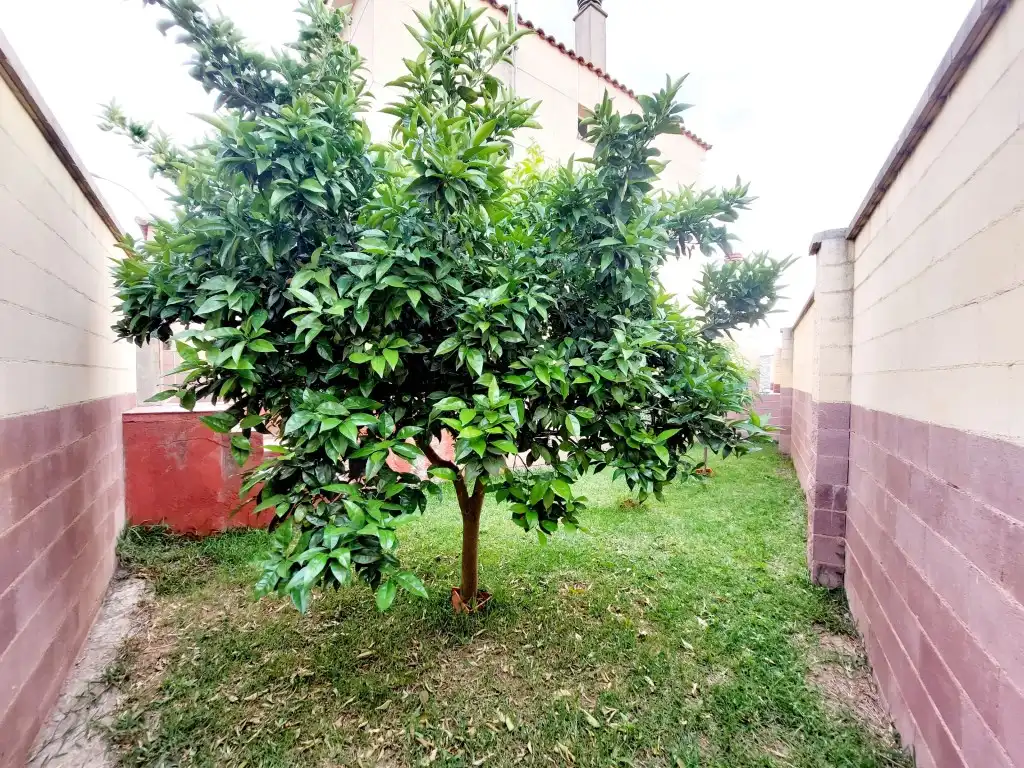 Casa adosada en venda a Maria Auxiliadora - Barriada de Llera