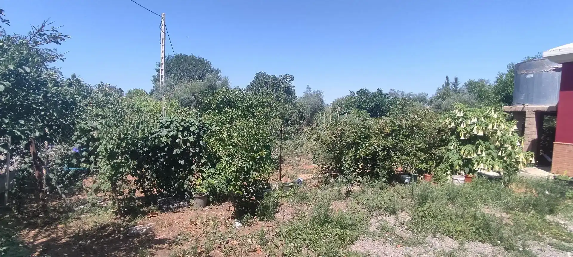 Finca rústica en venda en El Coronil amb Aire condicionat, Jardí privat i Piscina