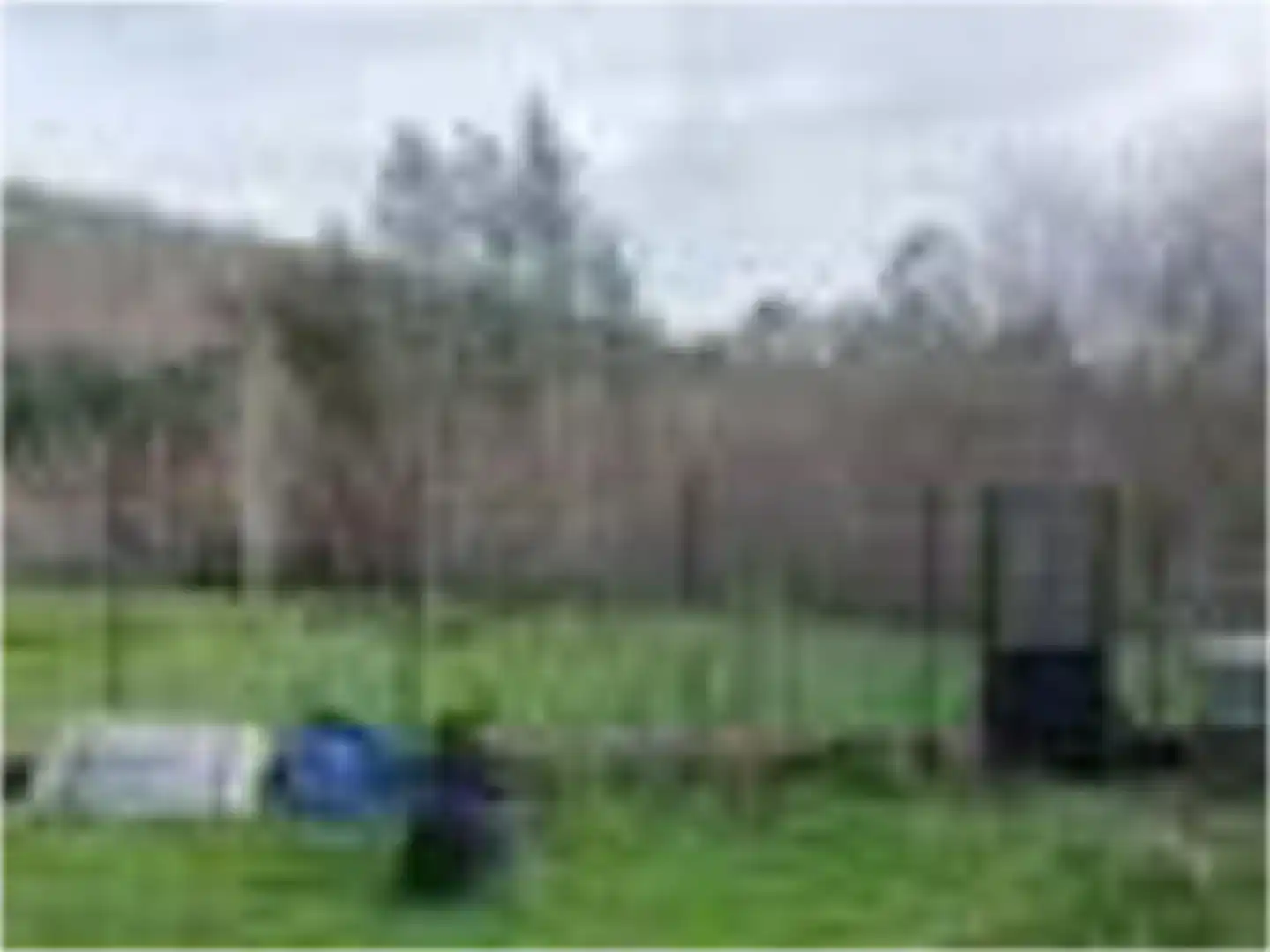 Finca rústica en venda en San Sadurniño amb Jardí privat