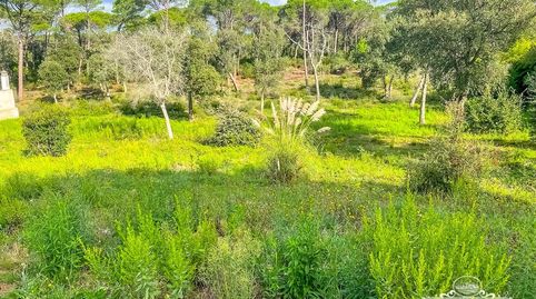 Parcela en venta con salida directa al bosque y una superficie de 1063 m2, totalmente plana y con permiso de construcción., immagine 2
