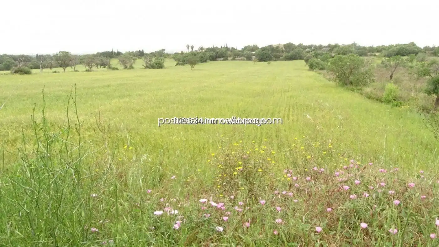Terreno rustico in vendita a Llucmajor pueblo, imagen 9