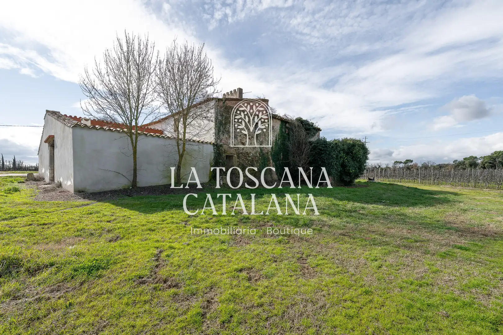 Finca rústica en venta en Campllong
