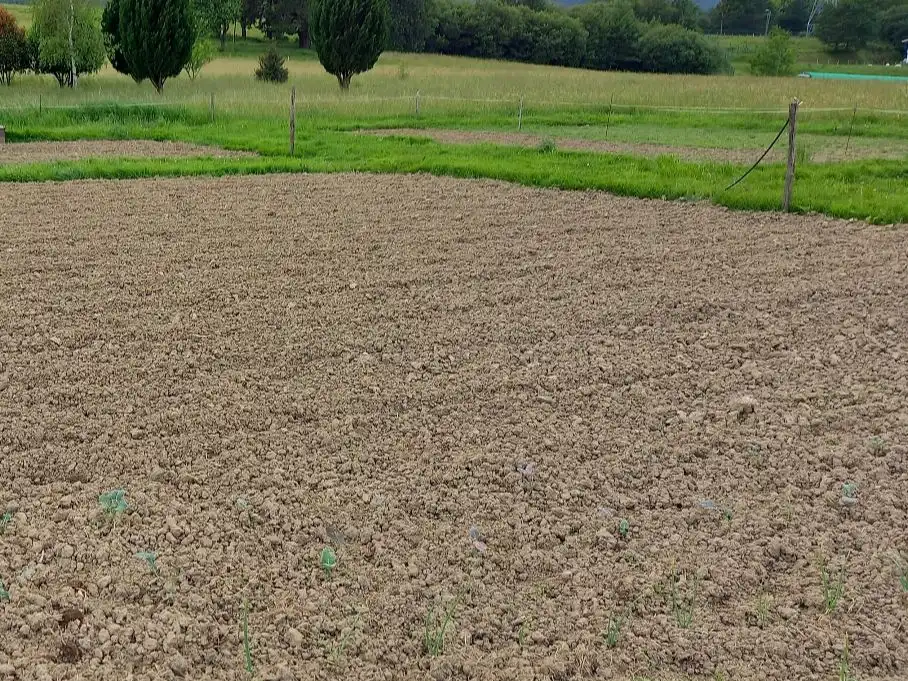 Land for sale in Amorebieta-Etxano