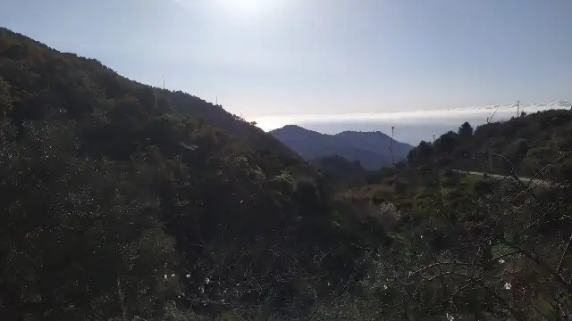 Land for sale in Nerja