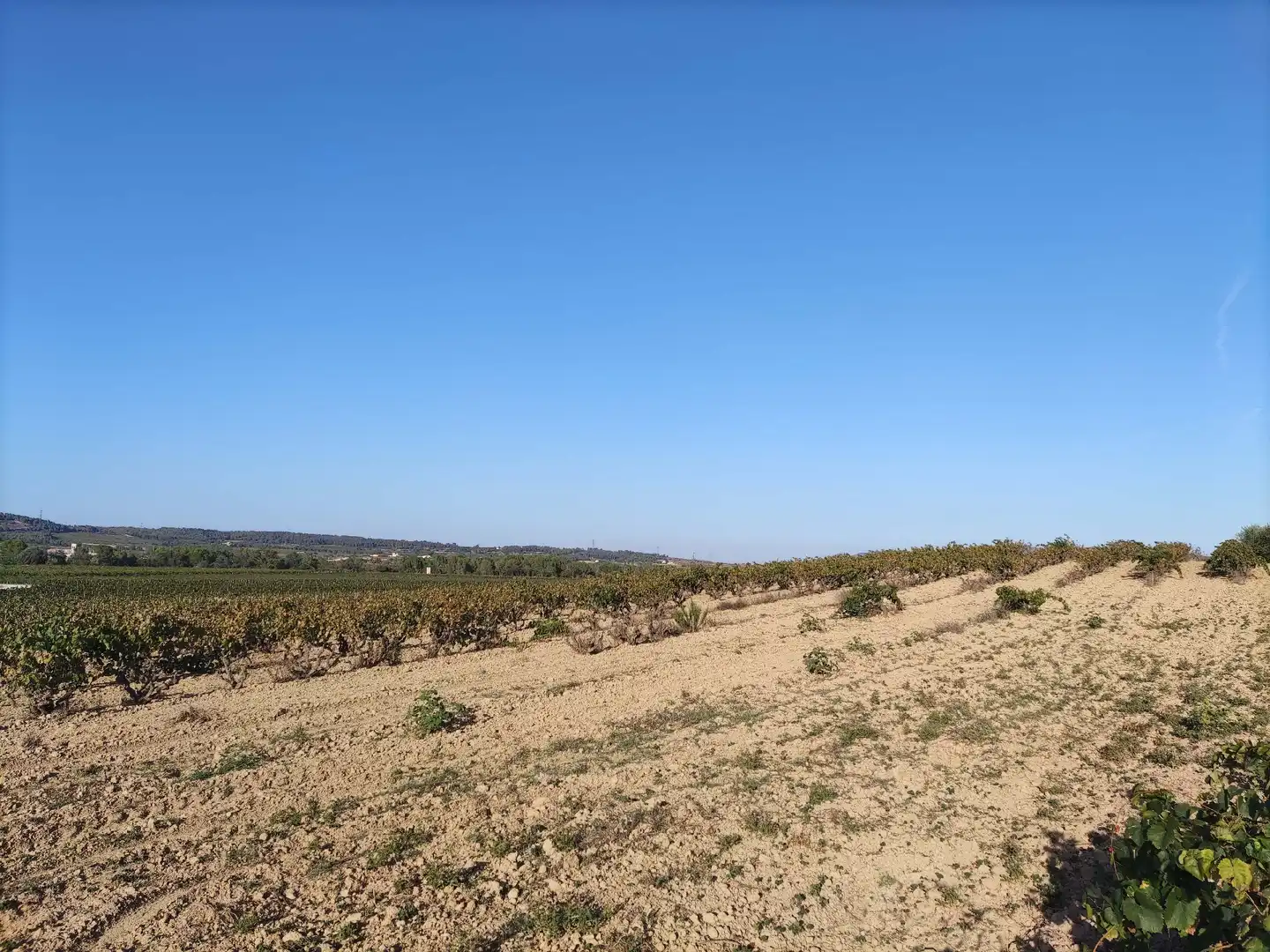 Residencial en venda a El Pla del Penedès