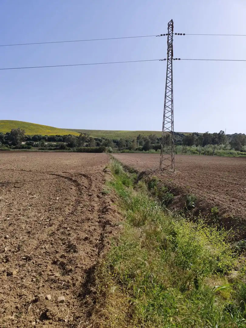 Casa rústica en venda a Arcos de la Frontera, imagen 28