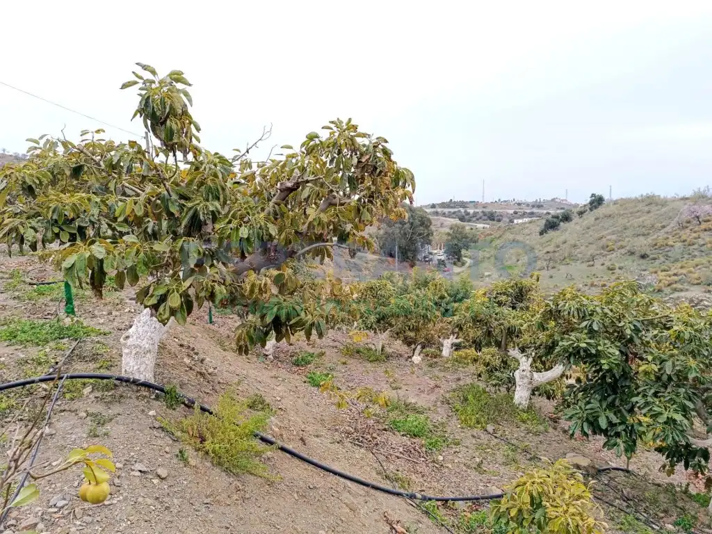 Finca rústica en venda en Vélez-Málaga amb Aire condicionat, Jardí privat i Traster