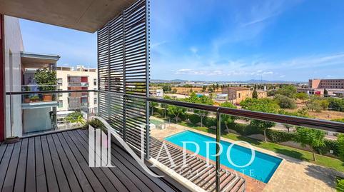 Photo 5 of Attic to rent in Ramon Nadal, El Secar de la Real, Illes Balears