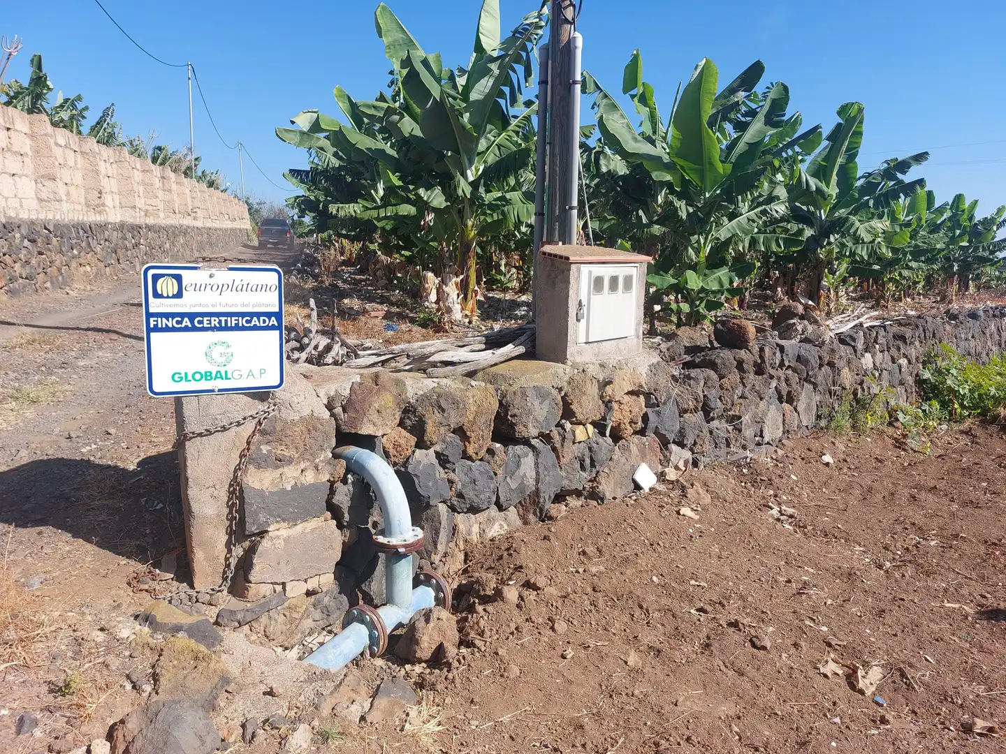 Garden of Land for sale in San Cristóbal de la Laguna