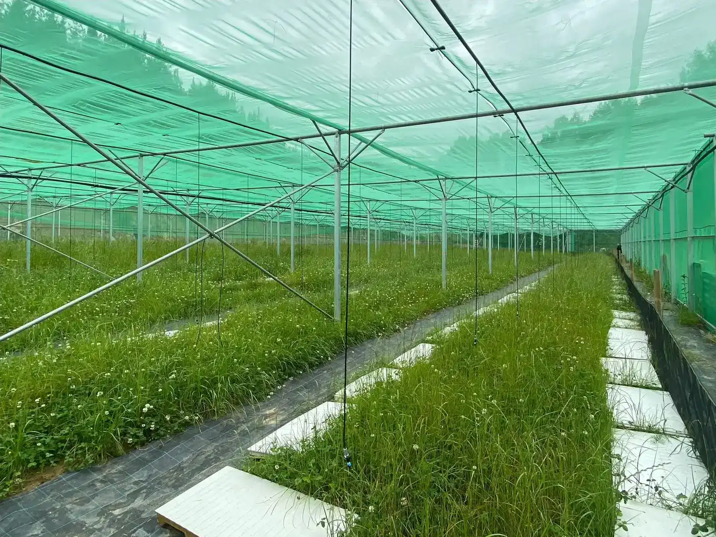 Jardín de Finca rústica en venta en Mallabia