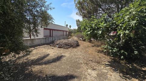 Foto 3 de Finca rústica en venda a Partida Valverde Bajo , Valverde, Elche / Elx