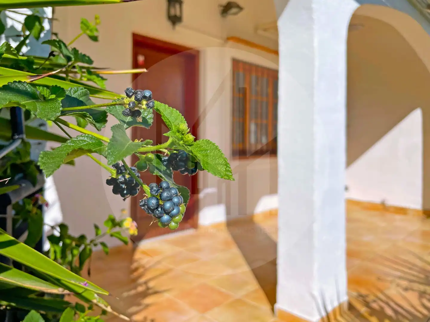 Reihenhaus mit Garten zum Verkauf in MONTULL DEL, imagen 4