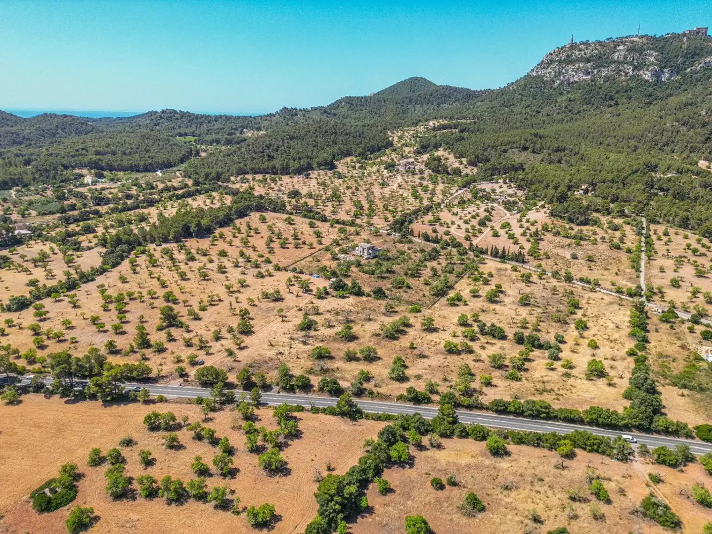 Rural land for sale in Felanitx Poble, imagen 7