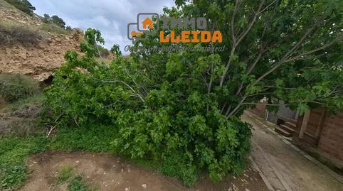 Photo 5 of Residential for sale in La Costa, Algerri, Lleida