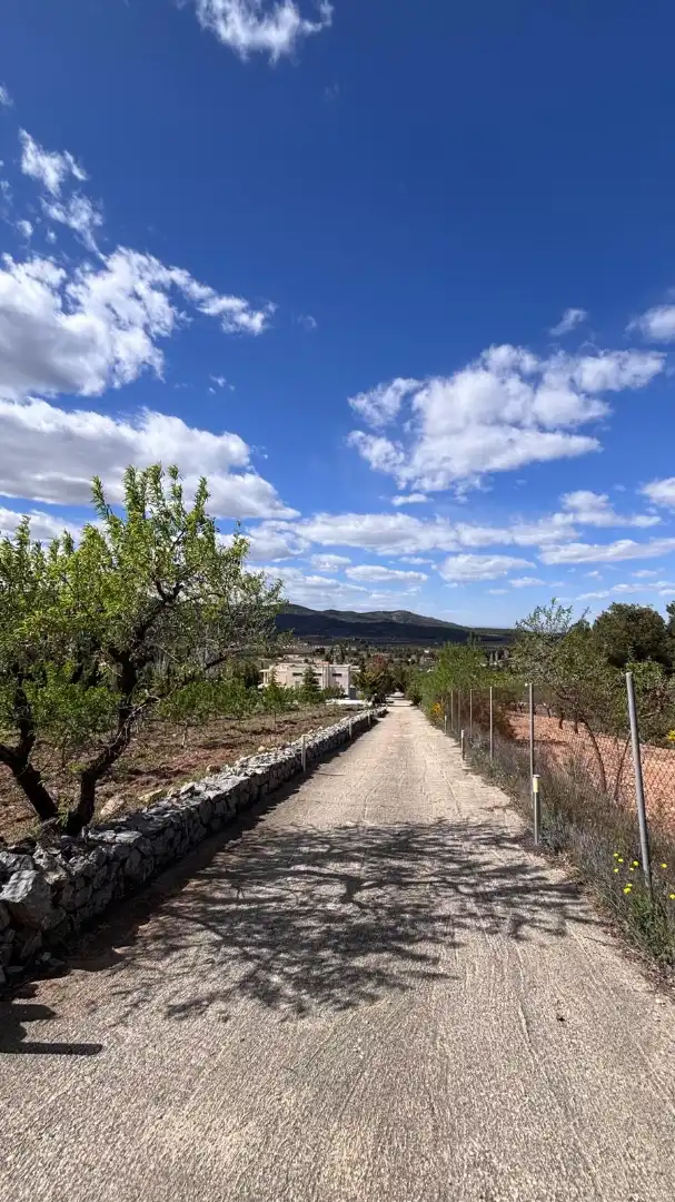 Vista exterior de Casa o xalet en venda en Cehegín amb Aire condicionat, Calefacció i Jardí privat