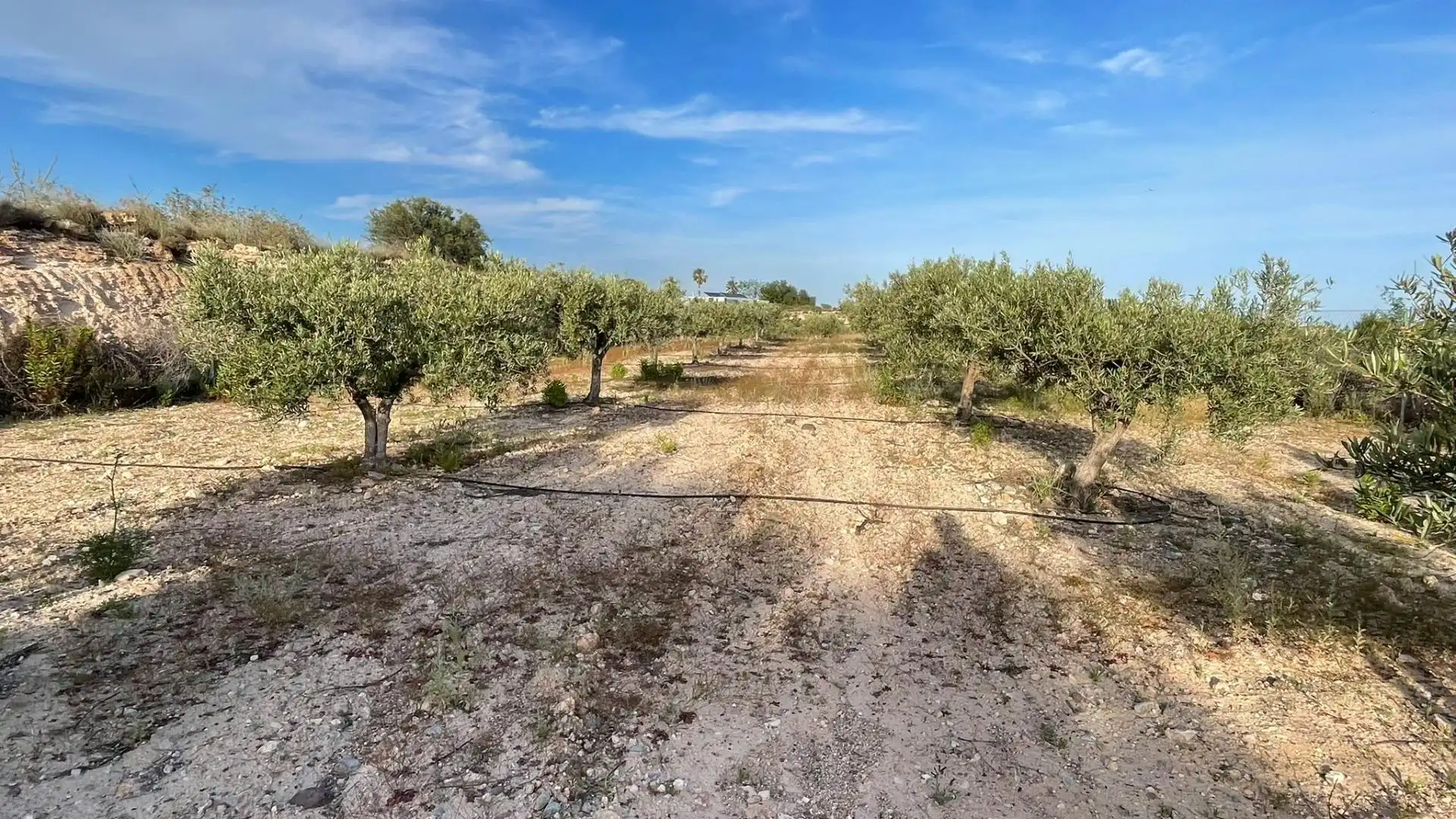 Casa rústica con jardín en venta en Los Almagros - Los Paganes - El Escobar, imagen 40