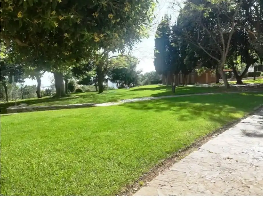 Habitatge amb piscina en venda a Parque de la Paloma, imagen 17