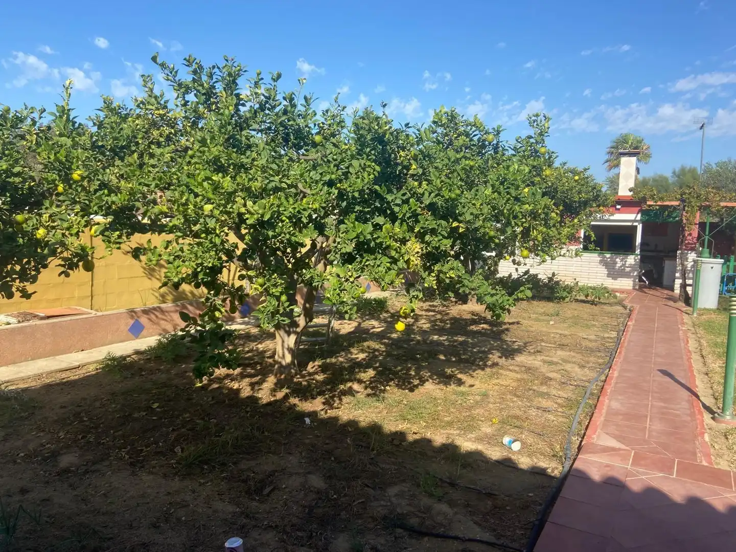 Xalet amb piscina en venda a Los Gallos, imagen 46