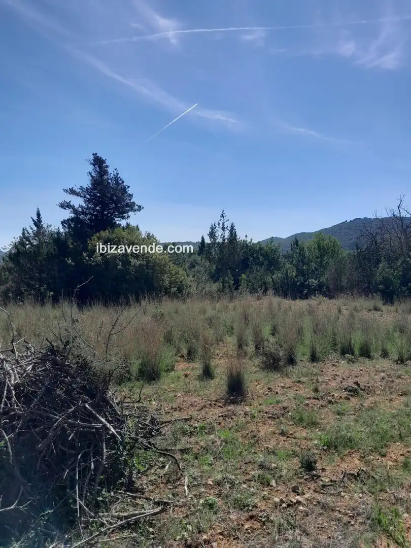 Terreno en venta en Es Canar, Sant Carles