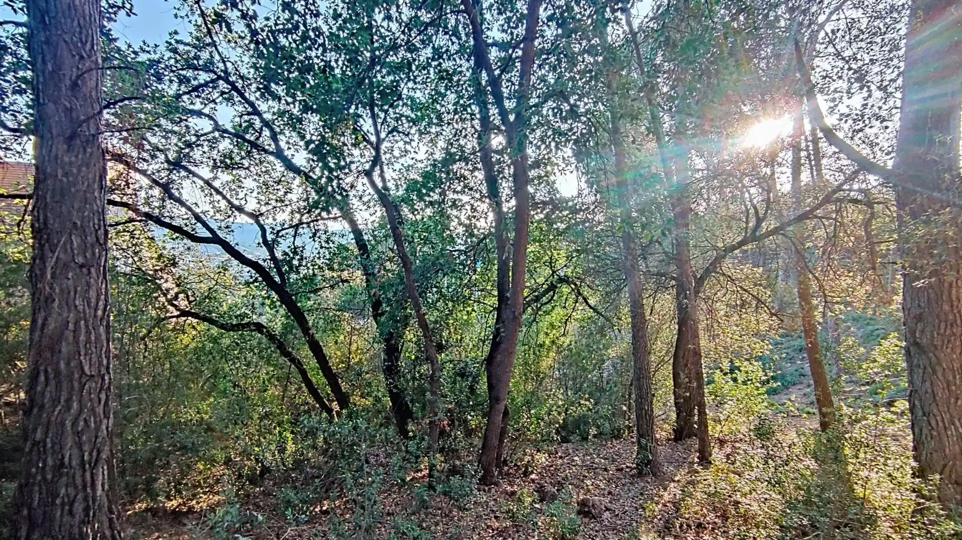 Terreno residencial en venta en Molins de Rei, imagen 11