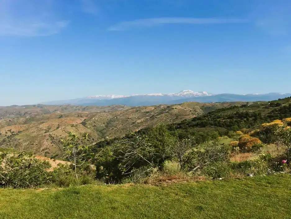 Vista exterior de Finca rústica en venda en Murtas amb Aire condicionat, Jardí privat i Traster