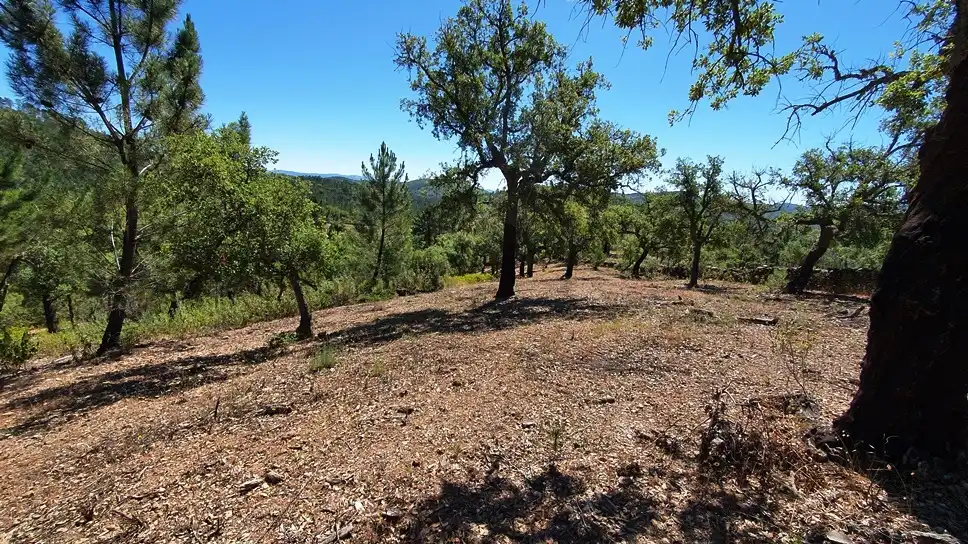 Terreni e lotti in vendita a Galaroza, imagen 5