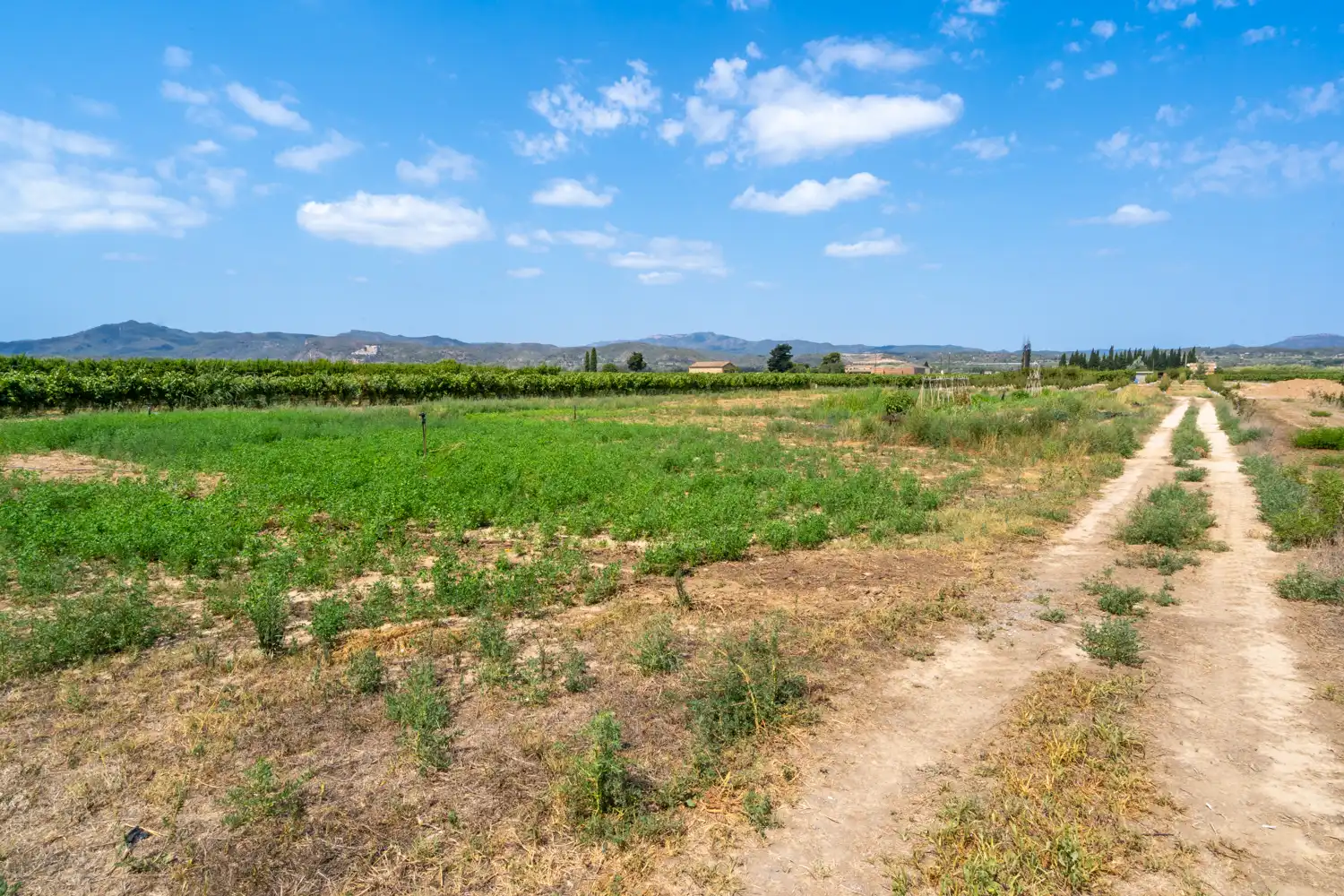Rural land for sale in Carrer Barca, imagen 6