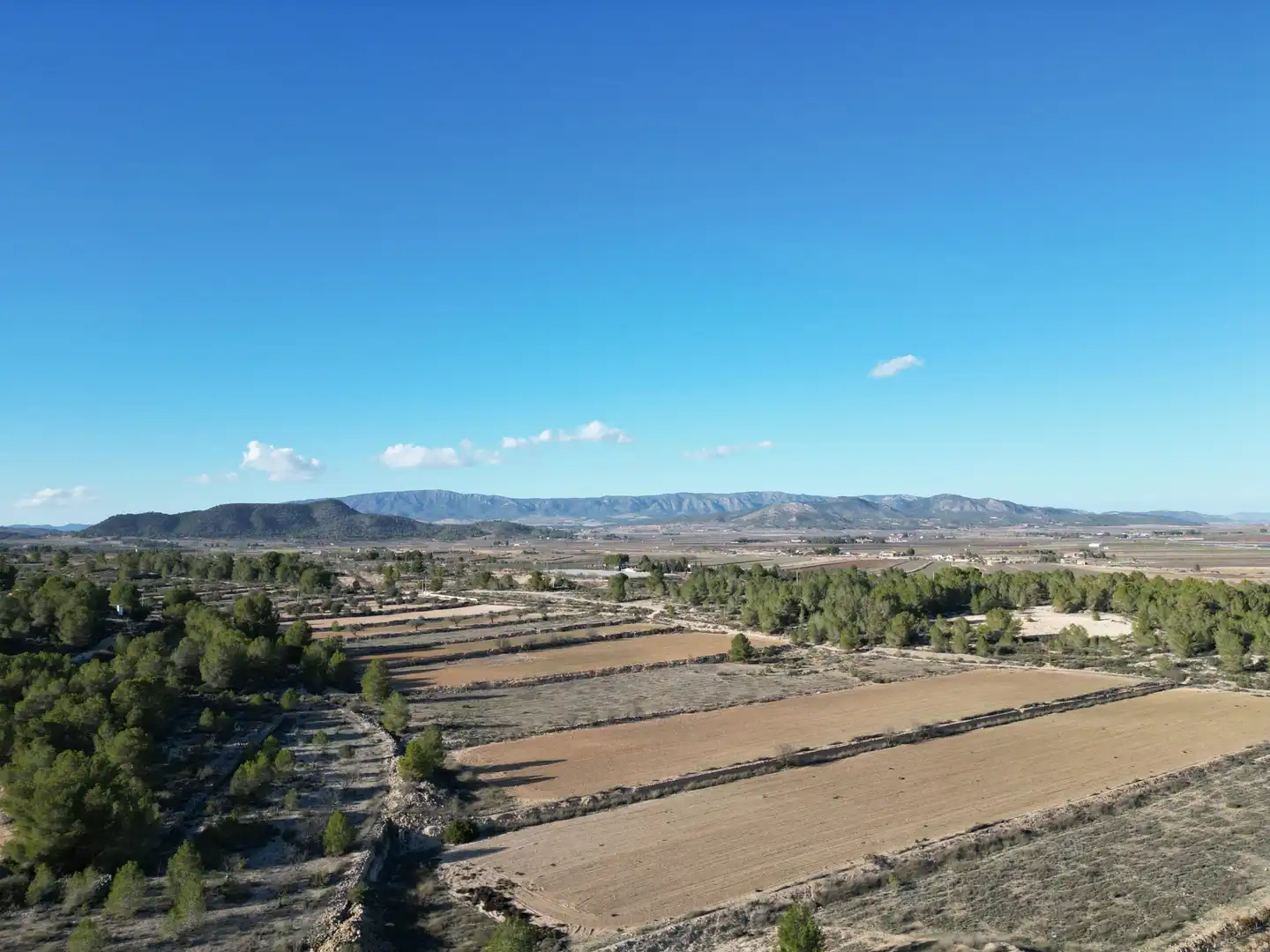 Terreny residencial en venda a Monóvar  / Monòver, imagen 10