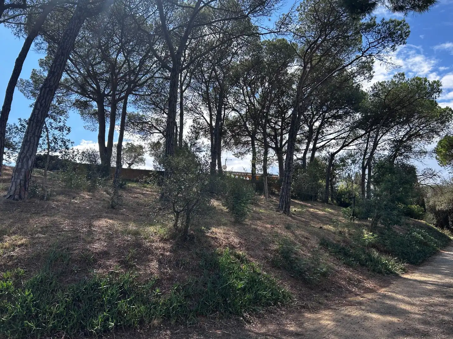 Finca rústica en venta en Palamós con Jardín privado