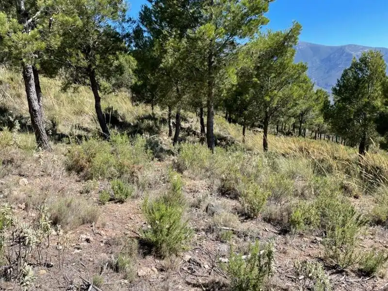 Rural land for sale in 3 . Parcela, 174, imagen 2