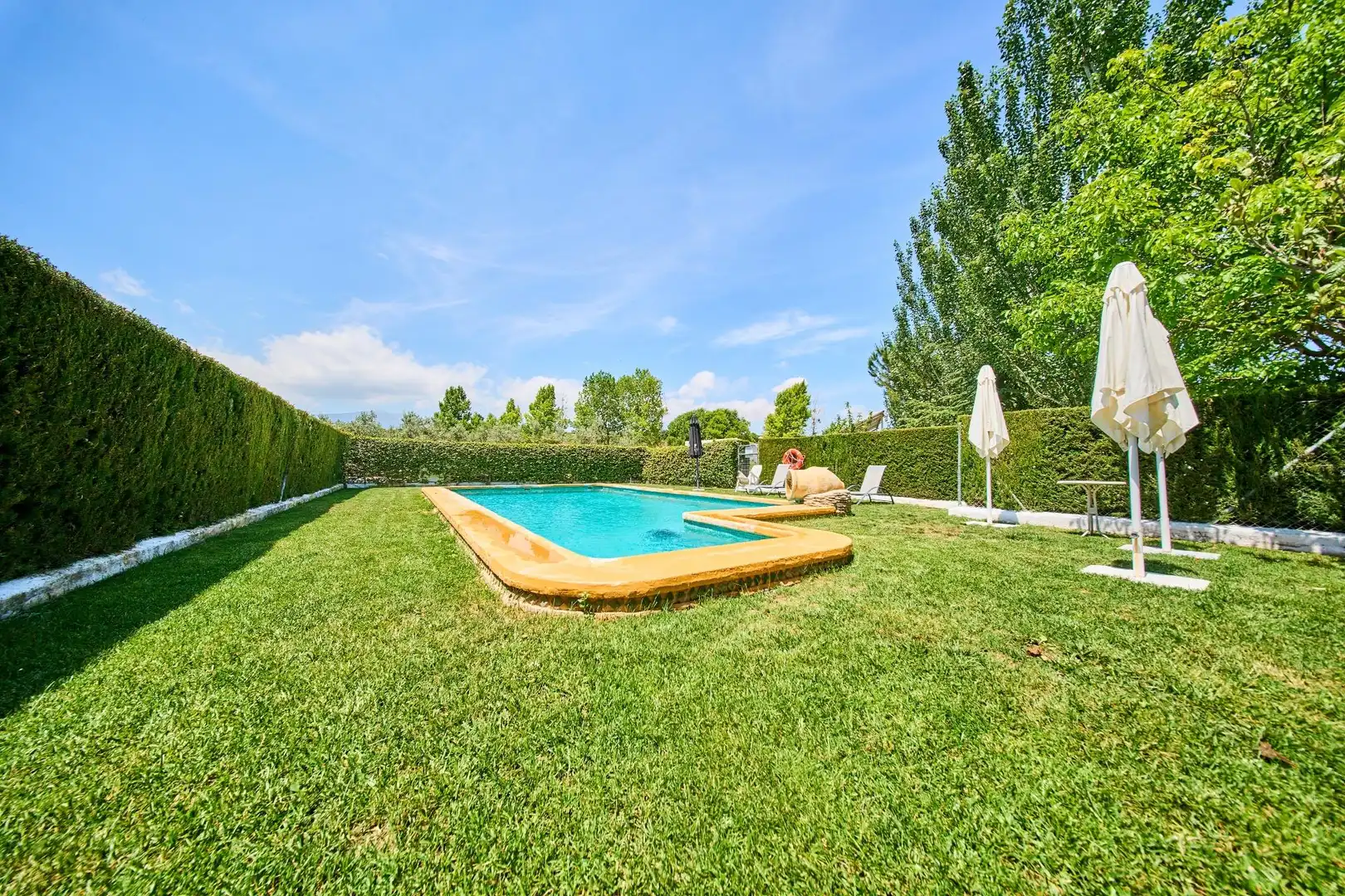 Piscina de Finca rústica en venta en Caniles