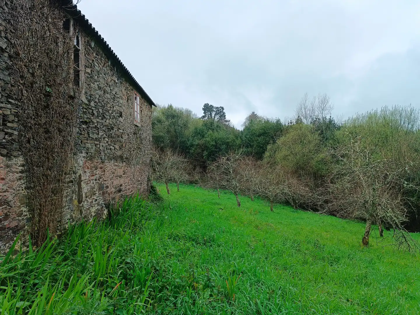 Country house zum Verkauf in Moeche