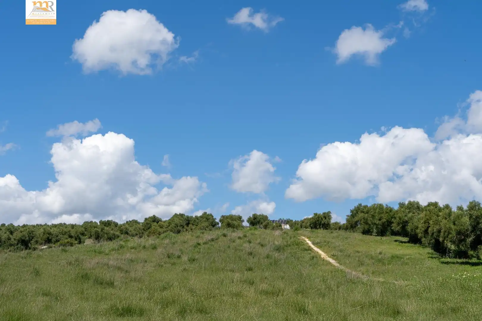 Finca rústica en venta en Prado del Rey
