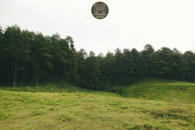 Terreno residencial en Venta en Centro