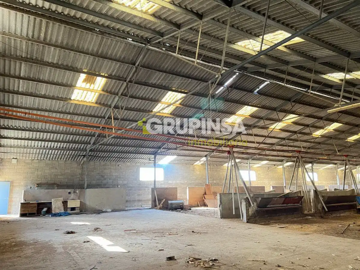 Nave industrielle à louer à Les Boqueres - Santa Quiteria, imagen 6