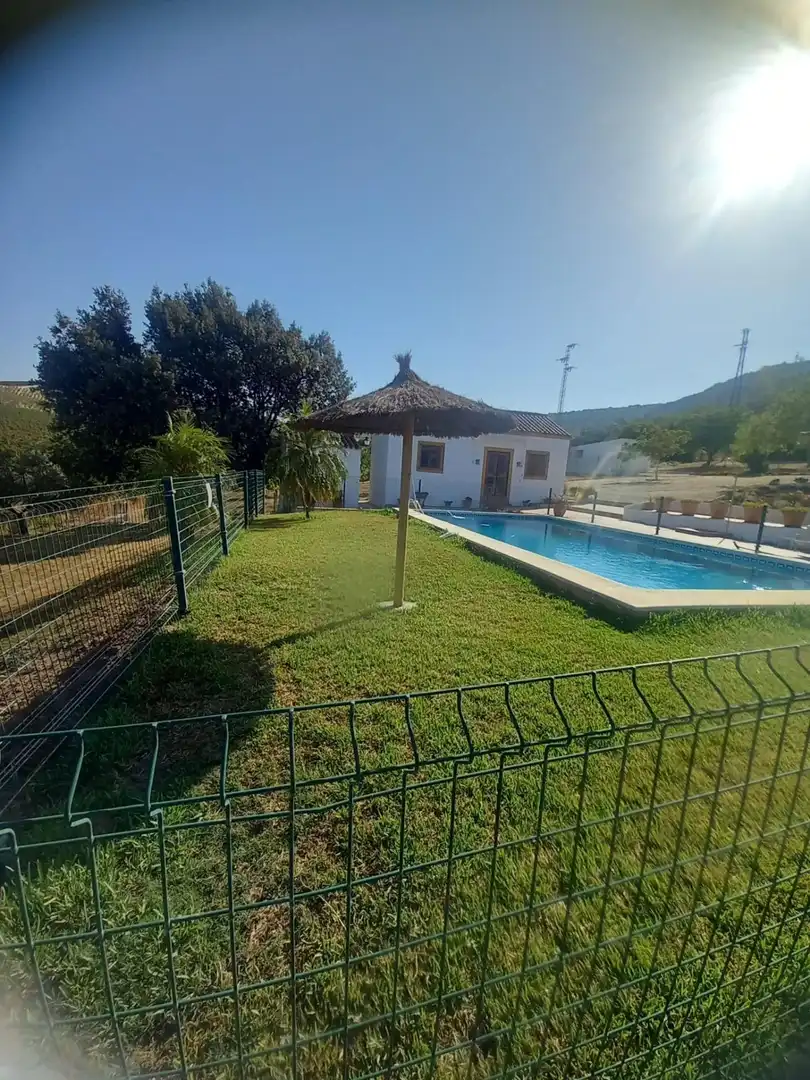 Jardí de Finca rústica en venda en Arcos de la Frontera amb Jardí privat i Piscina comunitària