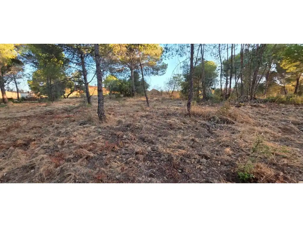 Terreni e lotti in vendita a Villablanca, imagen 4