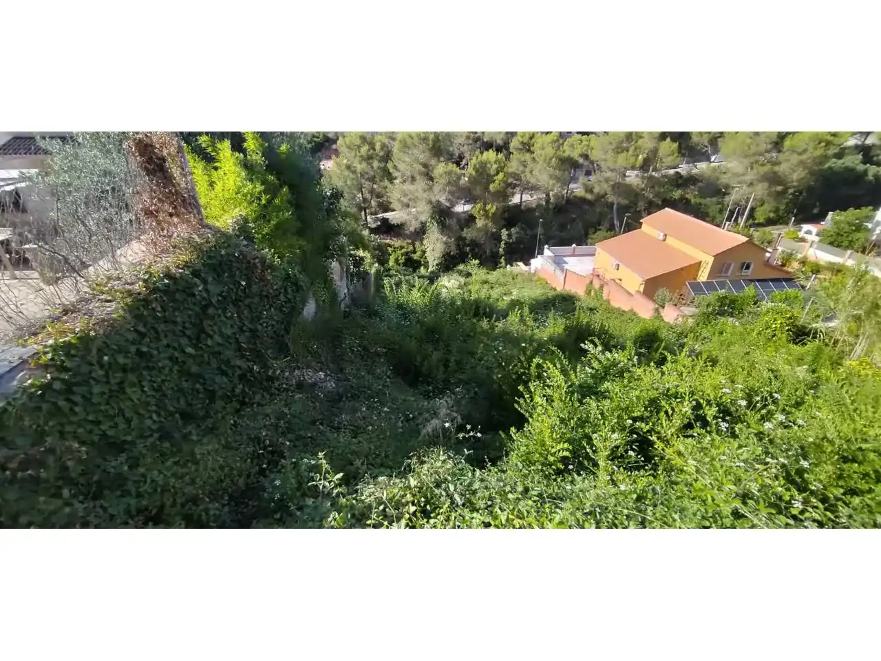 Terreno rústico en venta en Vallirana, imagen 5