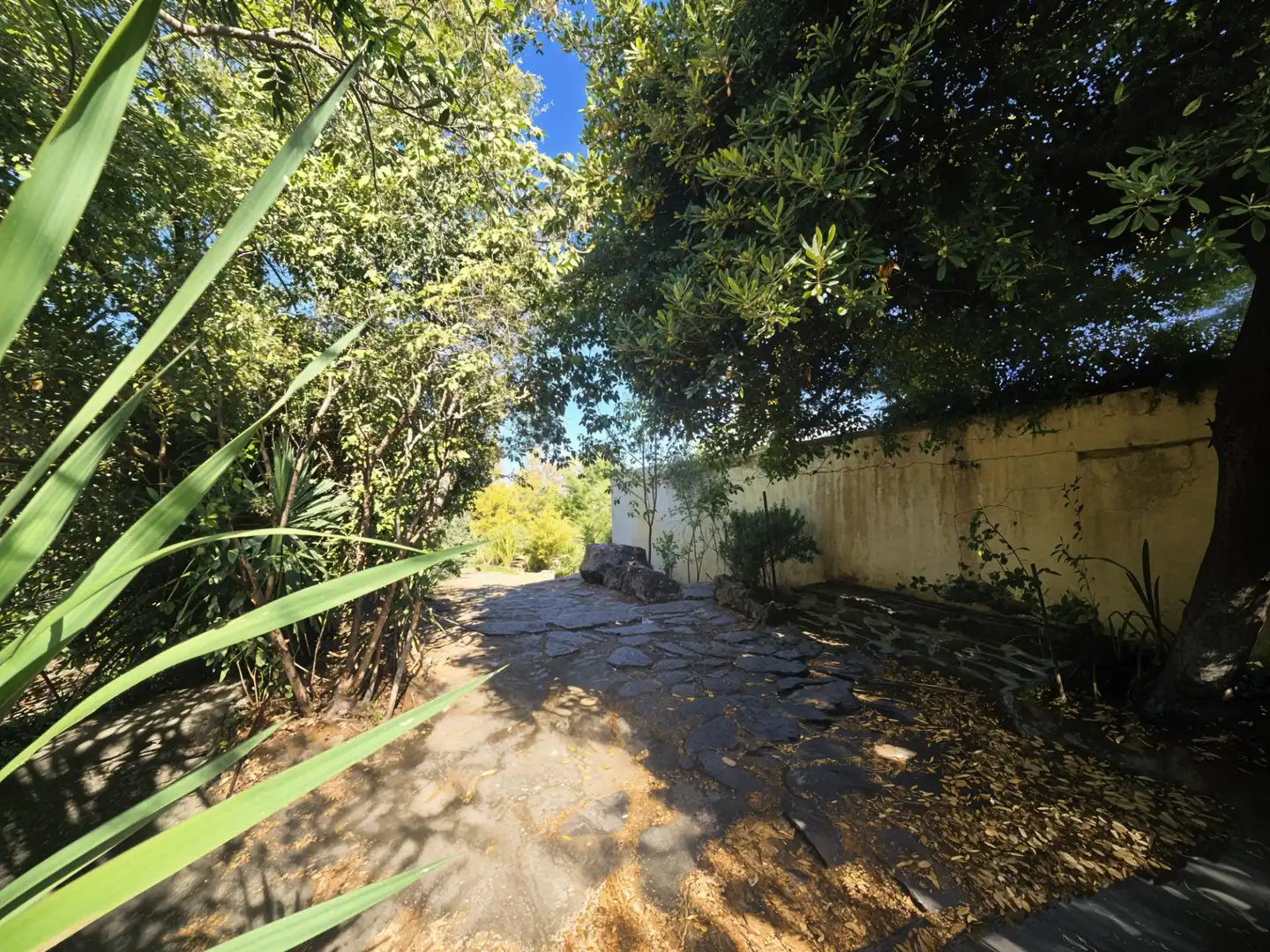 Vista exterior de Casa o chalet en venta en Plasencia con Aire acondicionado, Calefacción y Jardín privado