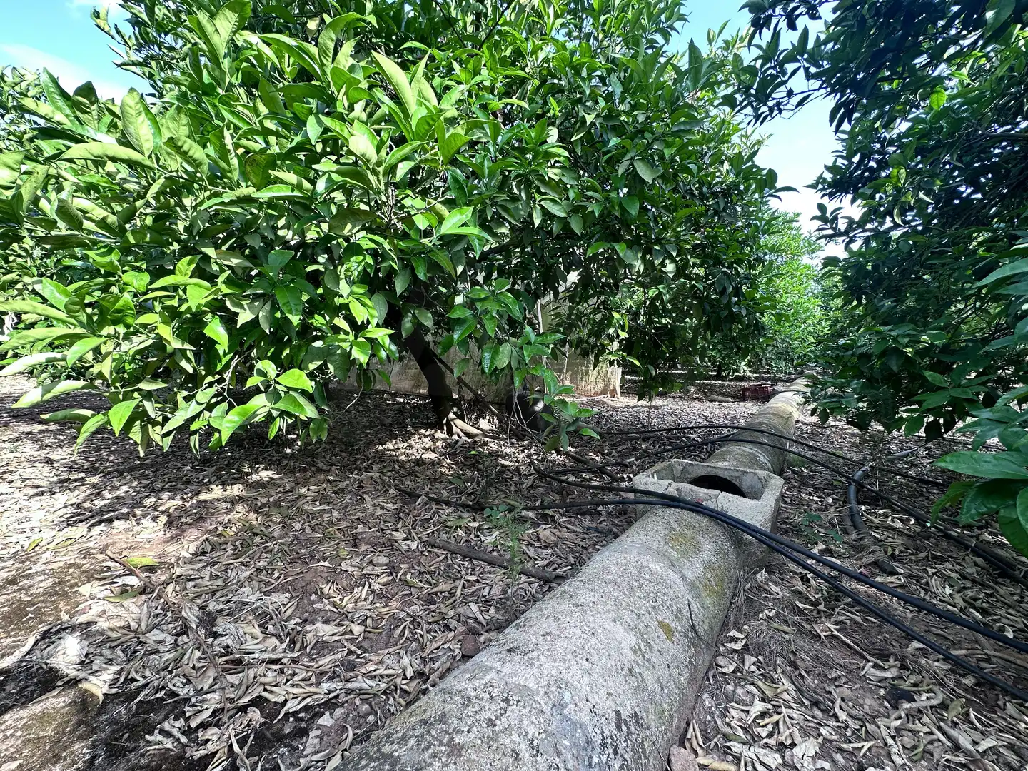 Terreno rustico in vendita a Pego, imagen 8