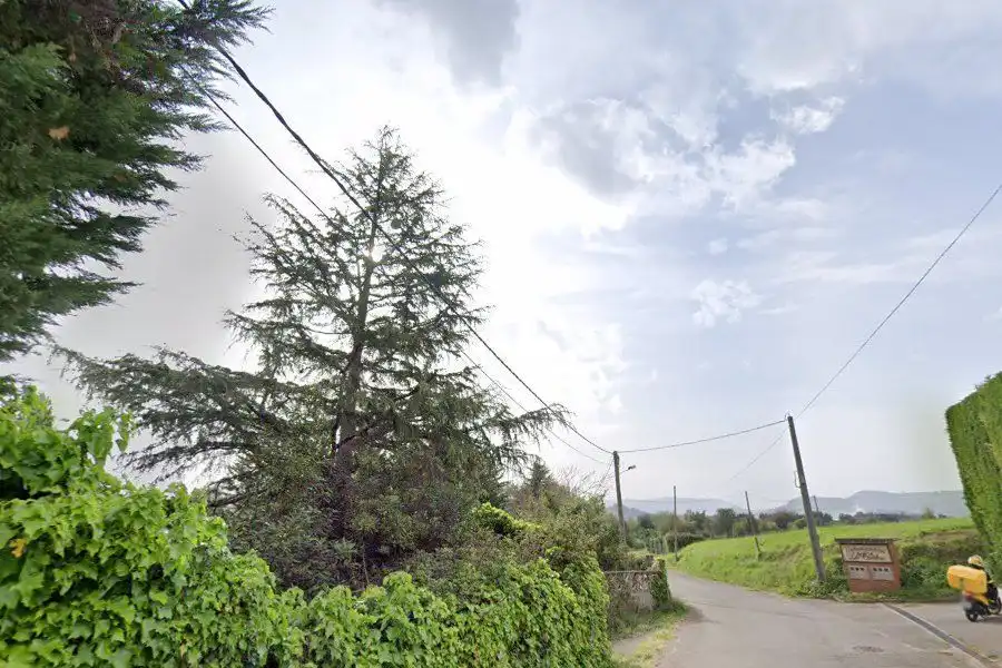 Terrenos y solares en venta en De la Coria, imagen 6