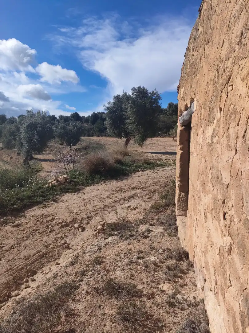 Terreni e lotti in vendita a Calaceite, imagen 2