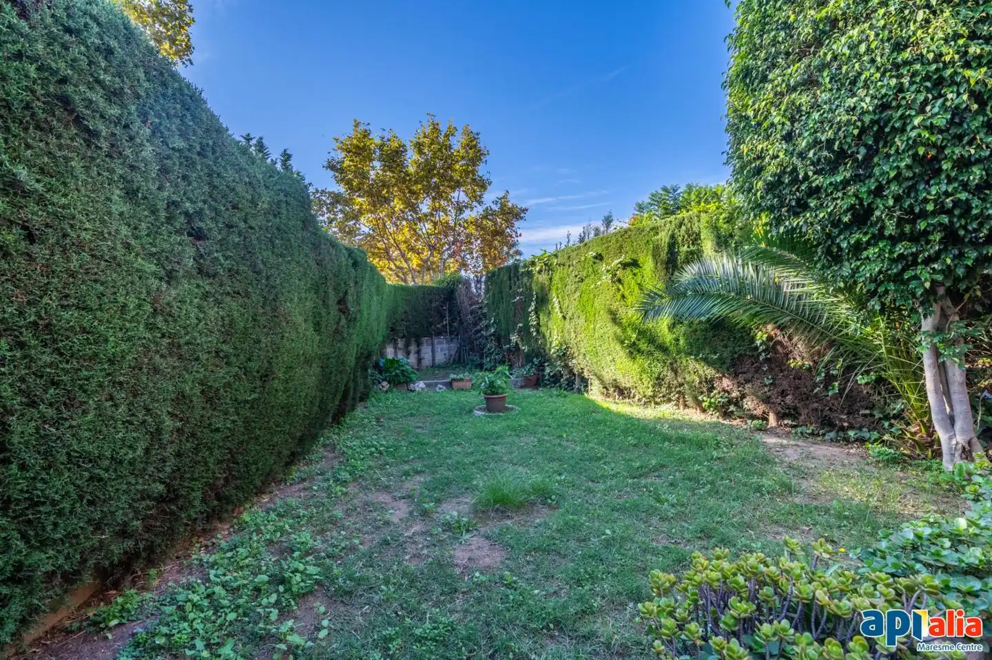 Garden of Houses for sale in El Masnou  with Terrace, Storage room and Balcony