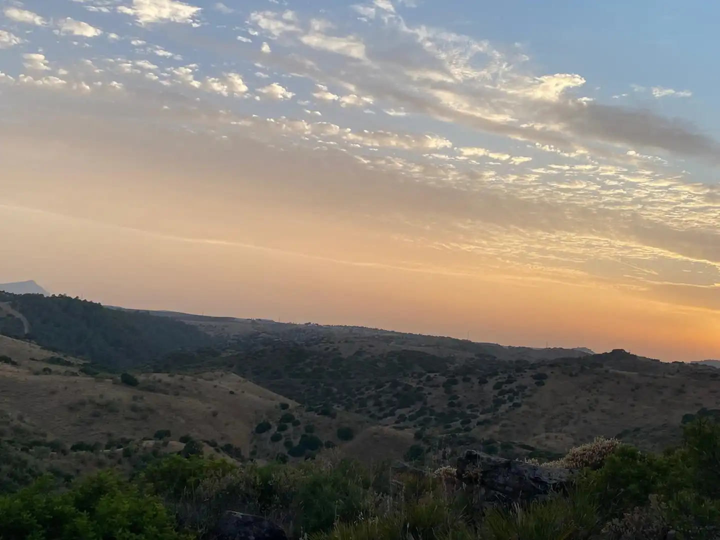 Rural land for sale in Morón de la Frontera, imagen 8