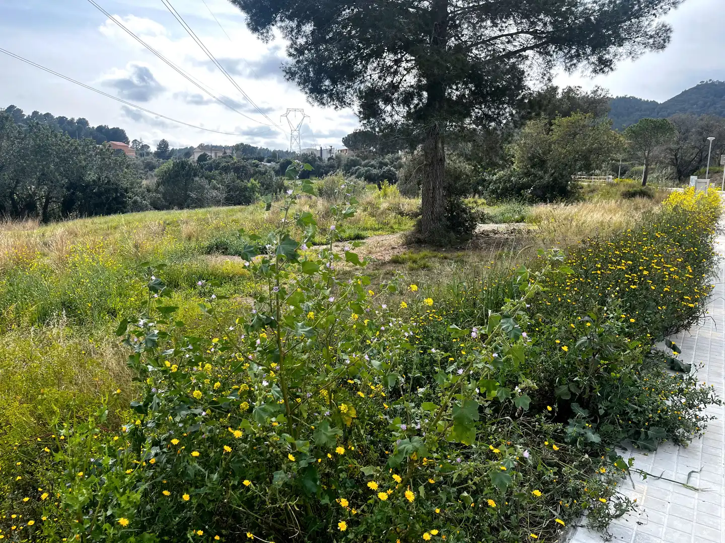 Terreny residencial en venda a Castellvell del Camp, imagen 4